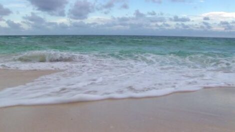 Self-Healing Visualization Image